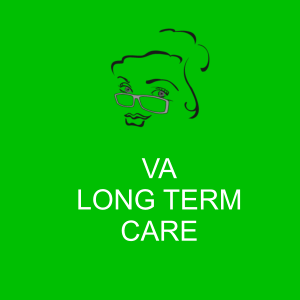 va long term care